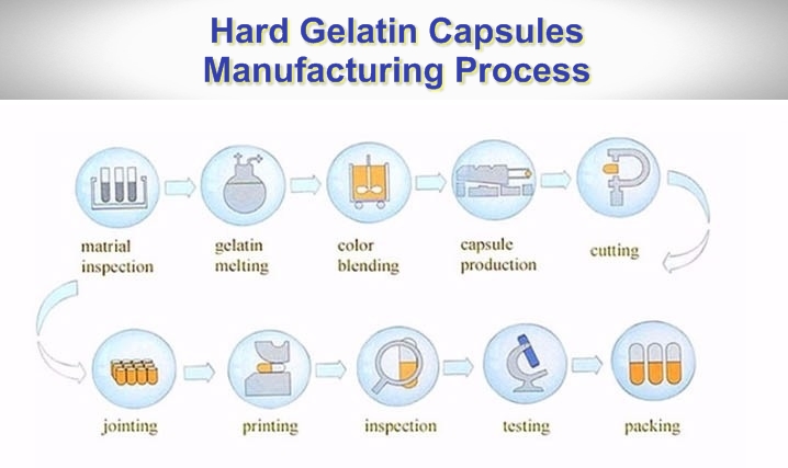 hard gelatin capsule manufacturing Process